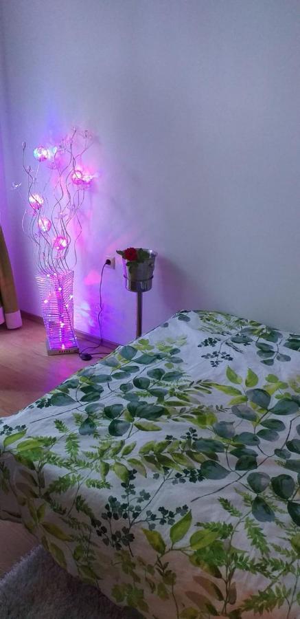 Aphrodite Rose Słoneczny Brzeg Zewnętrze zdjęcie